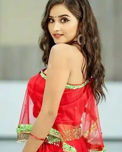 Escort In Panch Pakhadi
